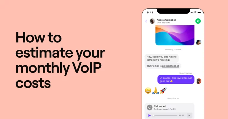 VoIP cost